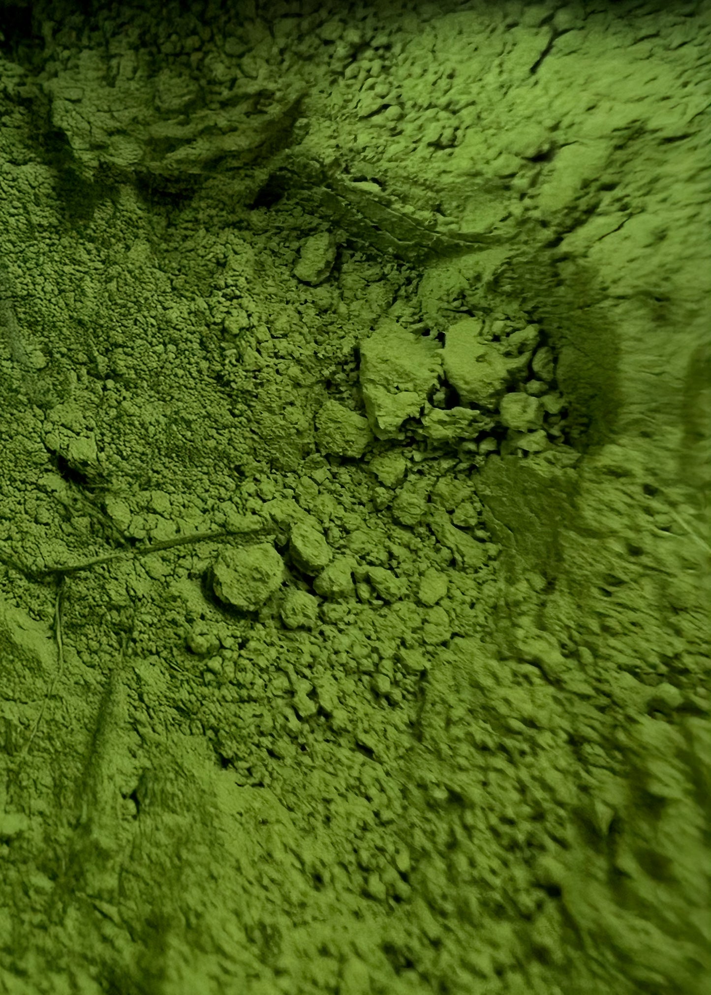 Mōtcha Ceremonial Grade Matcha (30g)
