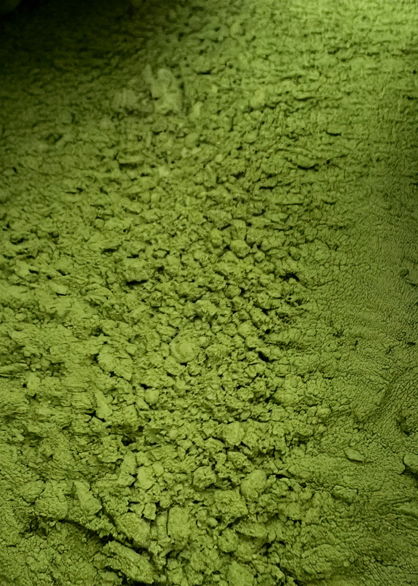 Mōtcha Culinary Grade Matcha (30g)